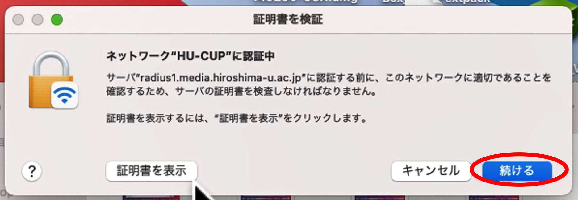 *screenshot*
