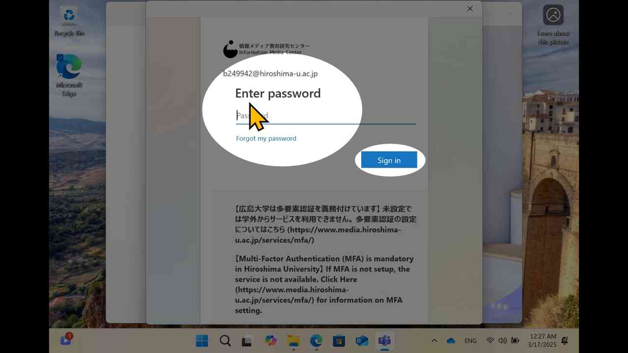*screenshot*